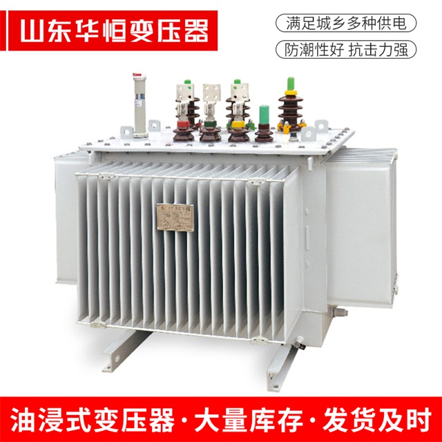 S13-10000/35迪庆迪庆迪庆电力变压器